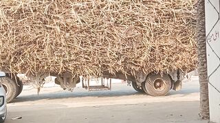 یہ ہیں پاکستانی کے کام