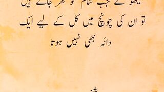 Quotes
