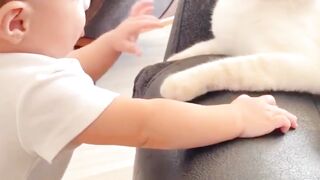 Cat Lover ????????