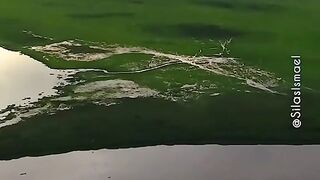 Esse é um dos biomas brasileiros e do mundo bastante inundada e conhecido pelo o mundo a fora