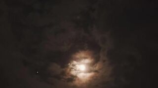 Can you write a book on love