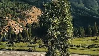my villege