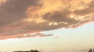 Nature’s beauty