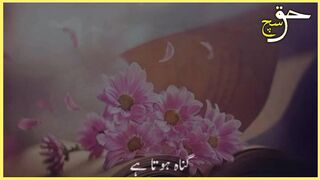 Islamic Video WhatsApp Status | Motivational Quotes| Islamic Video