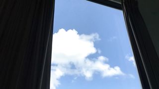 Лечение депрессии без лекарств. Как животные могут помочь.