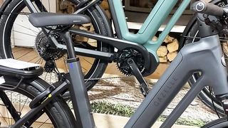 "Discover Hidden Trails: Top Cycling Adventures for Nature Lovers"