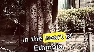 The Battle of Adwa - A Triumph of Ethiopian History