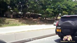 From Bucha to Baruti in Dar es Salaam Tanzania ????????