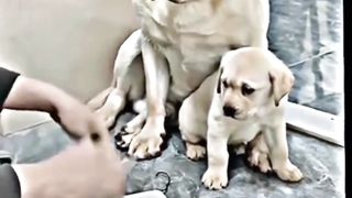 Mother's