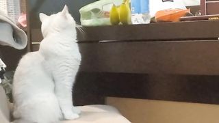 НЕПРЕДСКАЗУЕМЫЙ КОНЕЦ