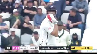 Australia vs New Zealand day 4 highlights