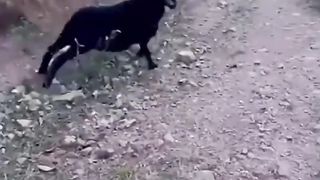Don't you ever back down