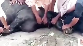 Funny ????????????