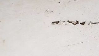 Hal yang tak terduga terjadi