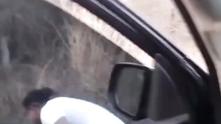 Don't  with the bees