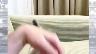 Lovely playful pets