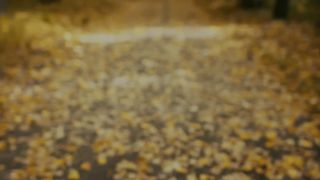 Adam | Zhurek | Премьера 2023 #adam #Zhurek  TURAN MEDIA