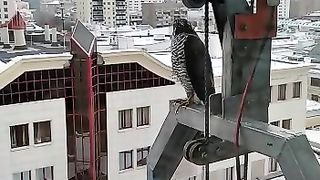 Строительство