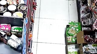 A cat stole a cucumber from a store