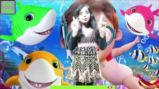 Baby Shark / Baby / English Poem