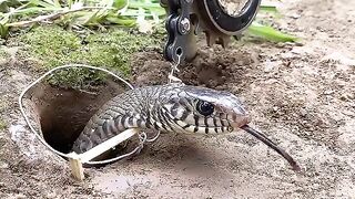 DIY Snake Trap using Bicycle chain #creativesnaketrap #buildsnaketrap#shortsvideo#snaketrap #snake