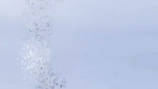 starling murmuration