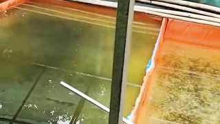 Ternyata banyak orang yang pernah UNTUNG BESAR di segmen pembenihan, tapi tak sedikit juga yang GAGAL TOTAL