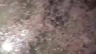 Jangan pernah memperlakukan LARVA LELE seperti ini❗Saat dideder nanti pasti akan terus BERGEROMBOL