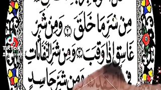 القران الكريم