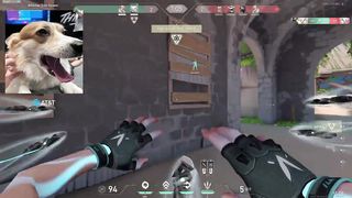 super briliant ace with jett