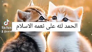 الاسلام