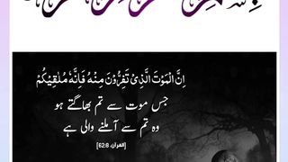Quran , Al Quran Surah 62 Ayat 08 #viral #shorts #quran #youtubeshorts #ayat