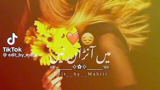 Pakistani song naseebo lal