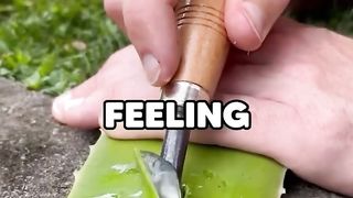 random interesting facts #1