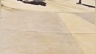 Funyy video