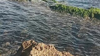 البحر