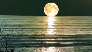 ام تدعي على ابنها