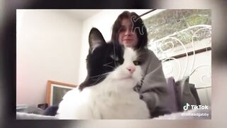 BEST DANK CAT MEMES COMPILATION OF 2020 PART 10