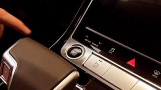 Audi A8L
