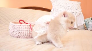 Kitty Vanilla se prépare à devenir ballerine