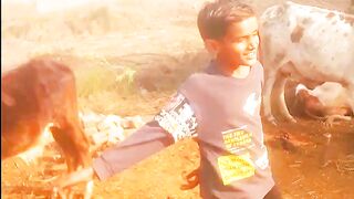 Saraiki jhumar | Song dance ⚡ #shorts #trending