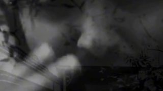 تفاؤلو بالخير تجدوه