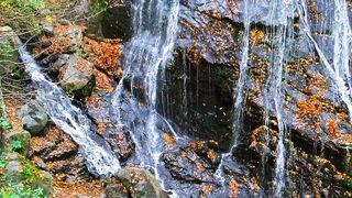 Waterfall in a rainforest