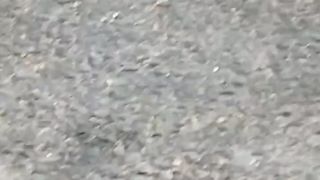 Nutare
