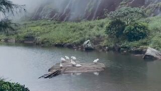 എന്നറിയപ്പെടുന്ന വാഗമണ്ണിലെ