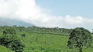 Nature village