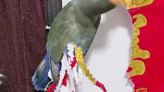 Video viral video of you viral video ???????? pr