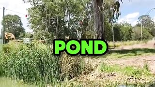 Crazy Motorcycle Moments