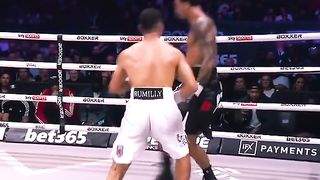 The Whitebeard Boxer