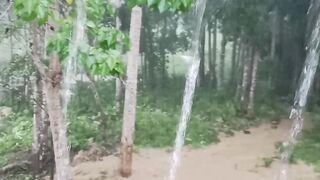 Flood